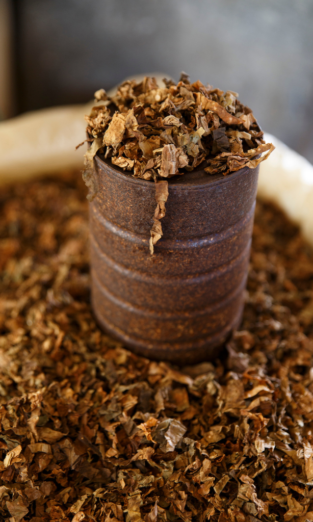 Tobacco Shop in Coconut Creek,florida